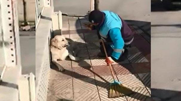 Köpeğe şarkı söyleyen çöpçü, sosyal medyayı salladı